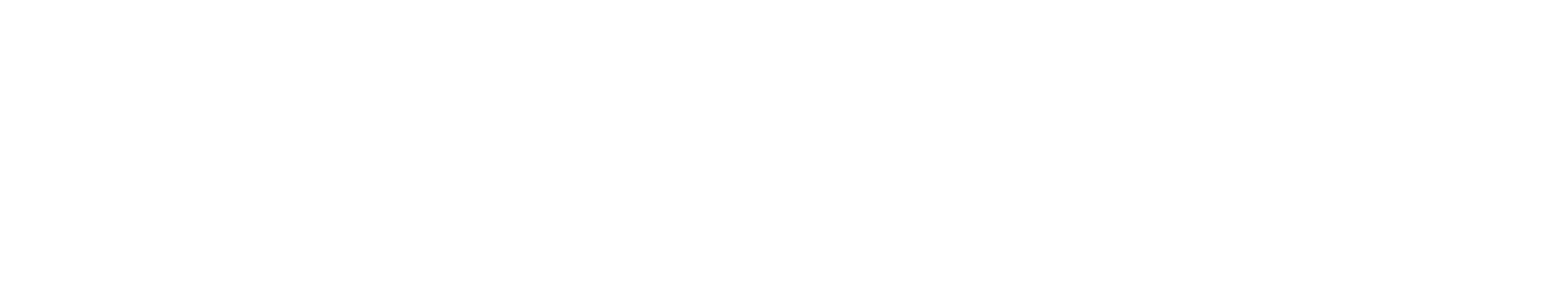 Weißes Logo von Mudi Dienstleistungen